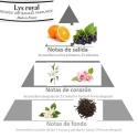 Vela con aroma FLOR DE NARANJA y ROSAL piramide olfativa