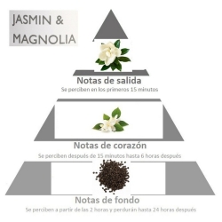 Vela aromática con olor JAZMIN y MAGNOLIA piramide olfativa
