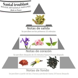 Vela con olor intenso a SANDALO piramide olfativa