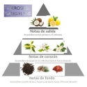 Vela aromática YLANG YLANG piramide olfativa