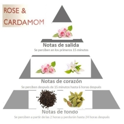 Vela color rosa con perfume a ROSA y CARDAMOMO piramide olfativa